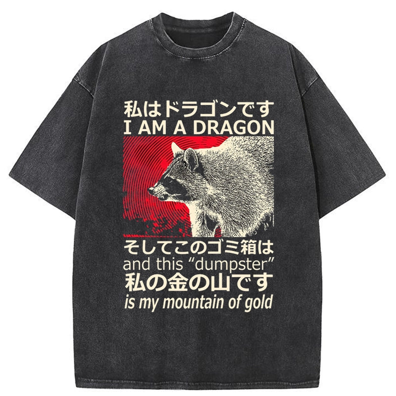 Tokyo-Tiger Dragon Raccoon Japanese Washed T-Shirt