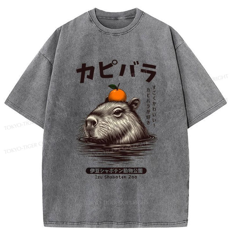 Tokyo-Tiger Capybara Hot Spring Washed T-Shirt