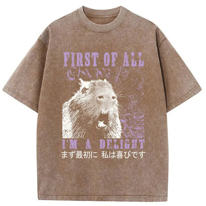 Tokyo-Tiger First Of All I'm A Delight Washed T-Shirt