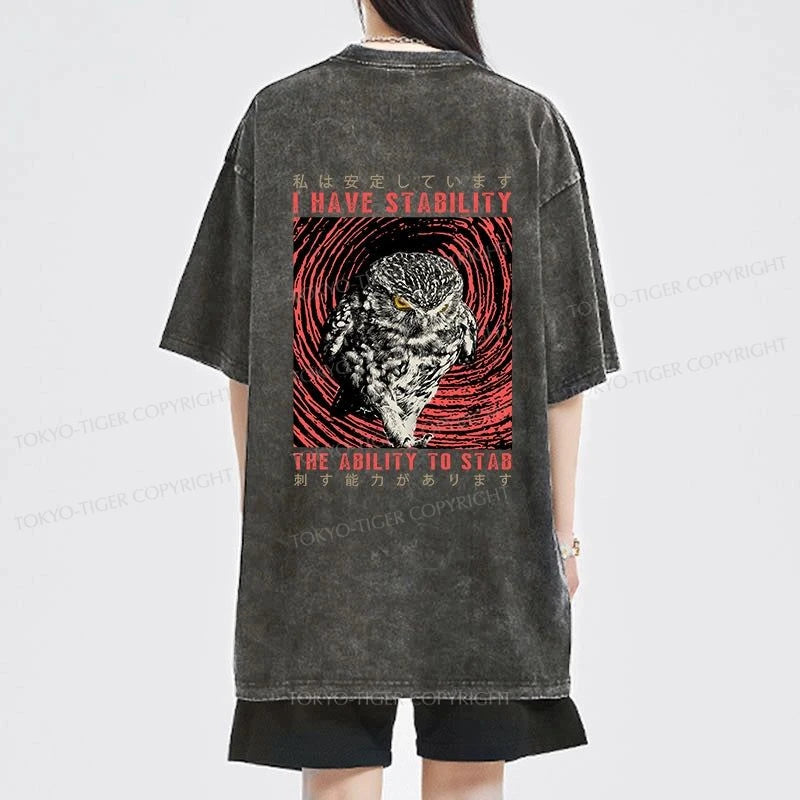 Tokyo-Tiger I Have Stability Owl Front Back Washed T-Shirt