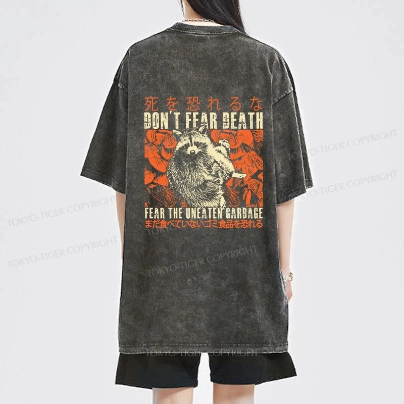 Tokyo-Tiger Timid Raccoon Japanese Front Back Washed T-Shirt