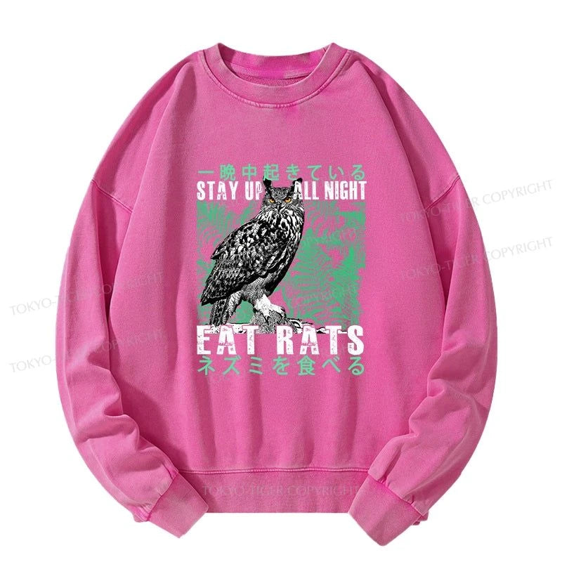 Tokyo-Tiger Owls Prey On Rats At Night Washed Sweatshirt