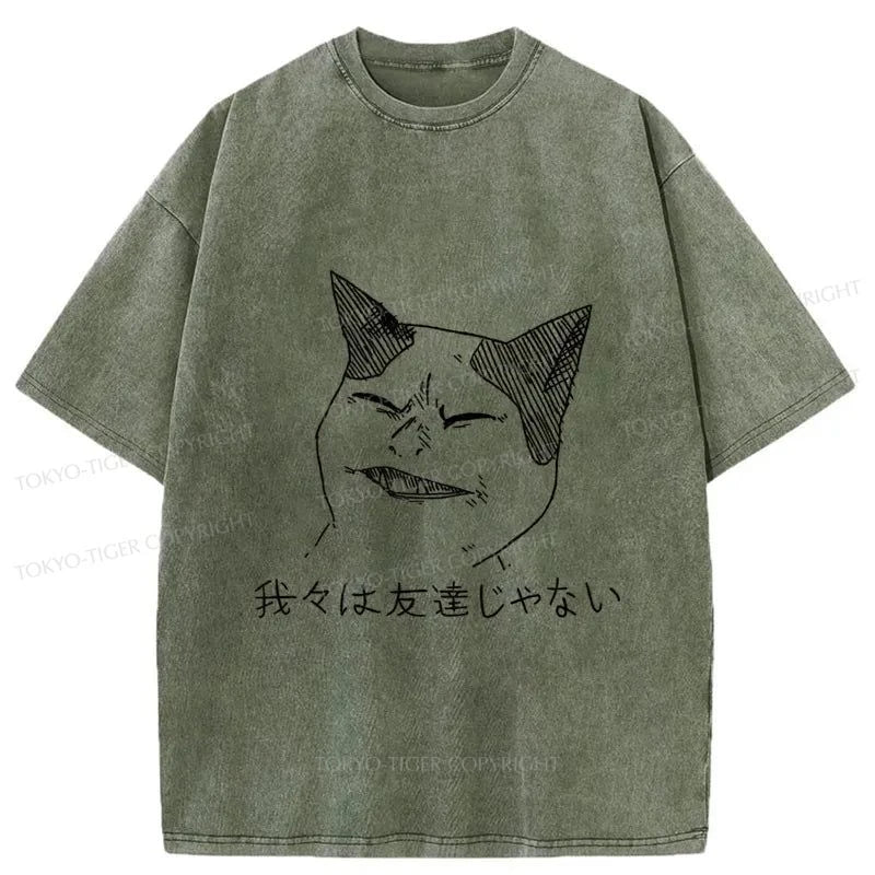 Tokyo-Tiger Cold Cat Washed T-Shirt