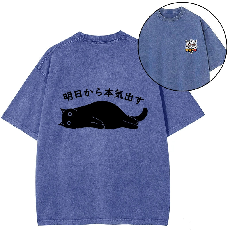 Tokyo-Tiger I'm Going To Get Serious Tomorrow Front Back Washed T-Shirt