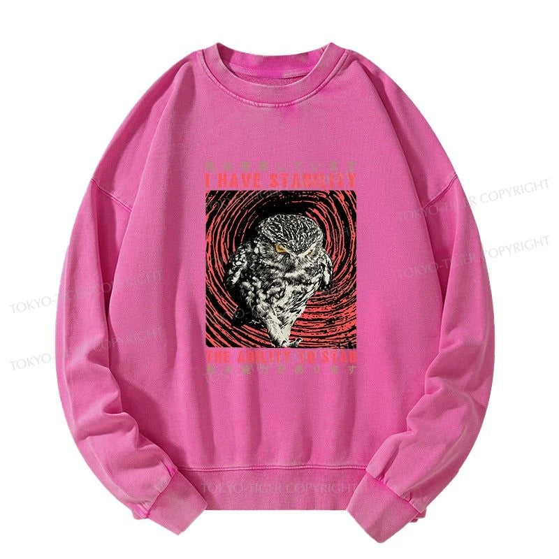 Tokyo-Tiger I Have Stability Owl Washed Sweatshirt