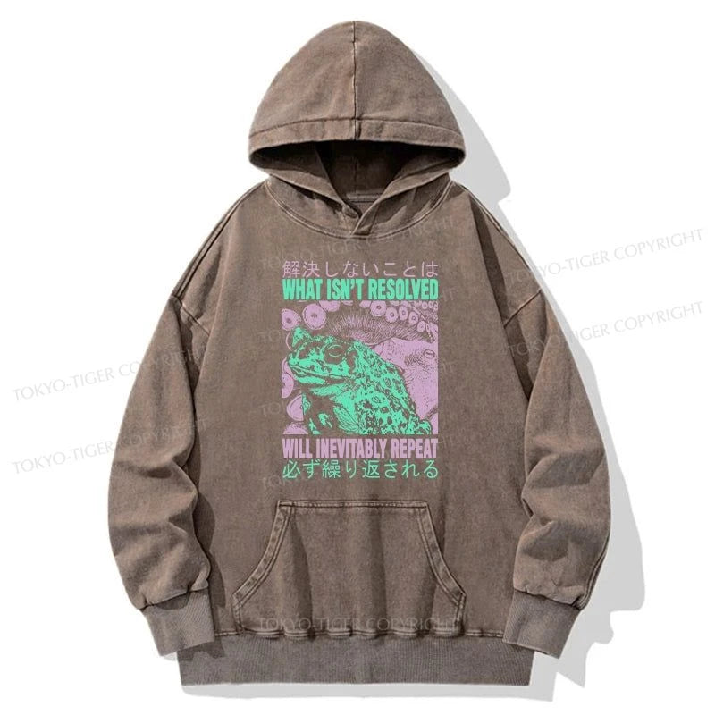 Tokyo-Tiger What Ist Resolved Forg Washed Hoodie