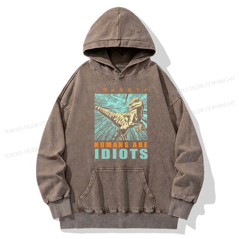 Tokyo-Tiger Mocking Dinosaurs Japanese Washed Hoodie