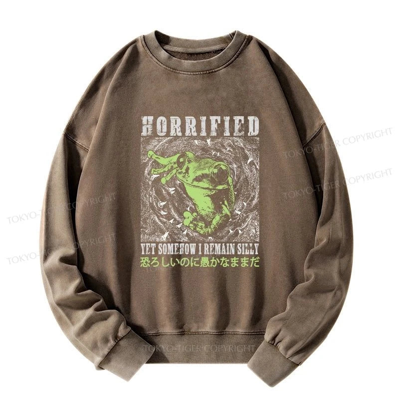 Tokyo-Tiger Silly Frog Japanese Washed Sweatshirt