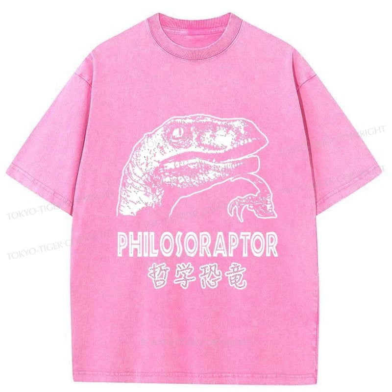 Tokyo-Tiger Philosoraptor Funny Washed T-Shirt