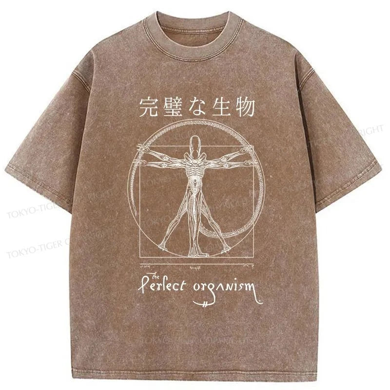 Tokyo-Tiger Perfect Organism Japanese Washed T-Shirt