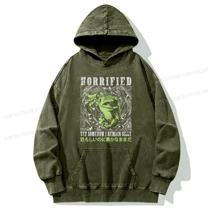 Tokyo-Tiger Silly Frog Japanese Washed Hoodie