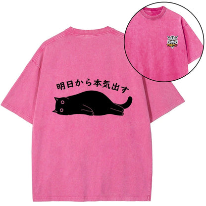 Tokyo-Tiger I'm Going To Get Serious Tomorrow Front Back Washed T-Shirt