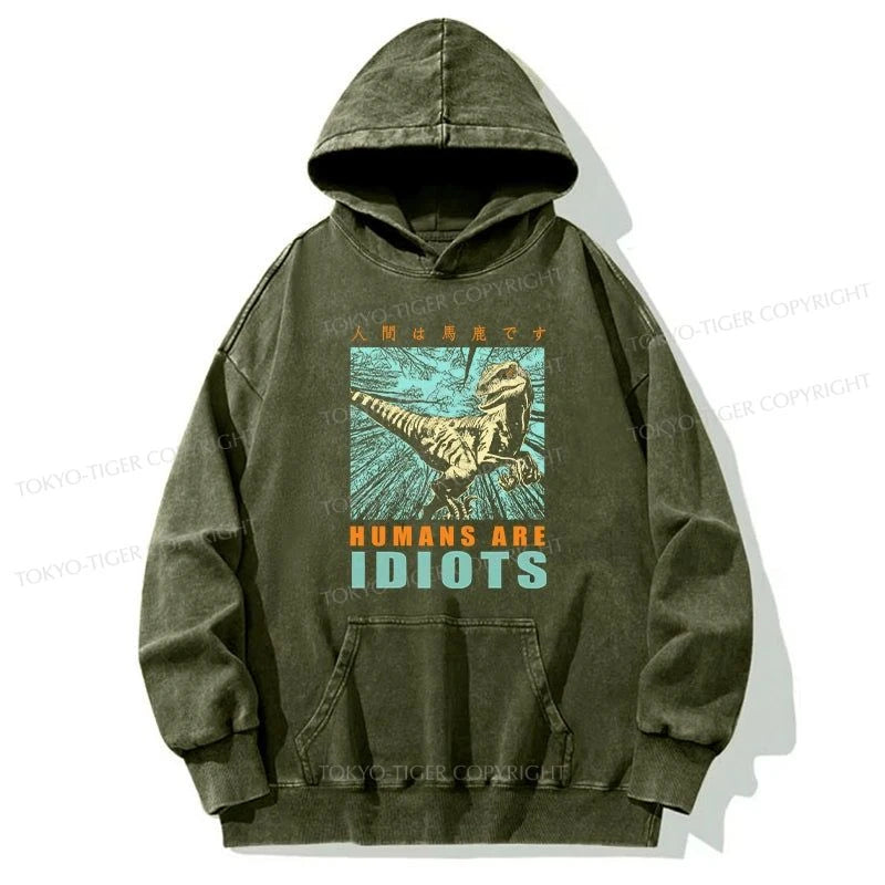 Tokyo-Tiger Mocking Dinosaurs Japanese Washed Hoodie