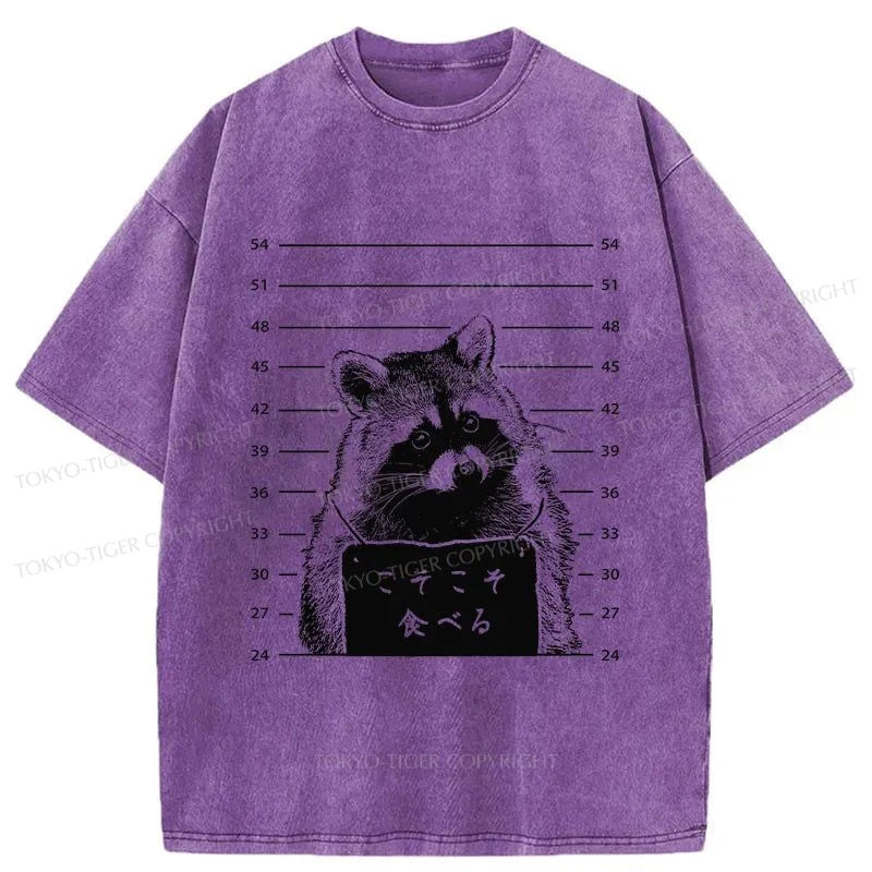 Tokyo-Tiger Captured Raccoon Washed T-Shirt