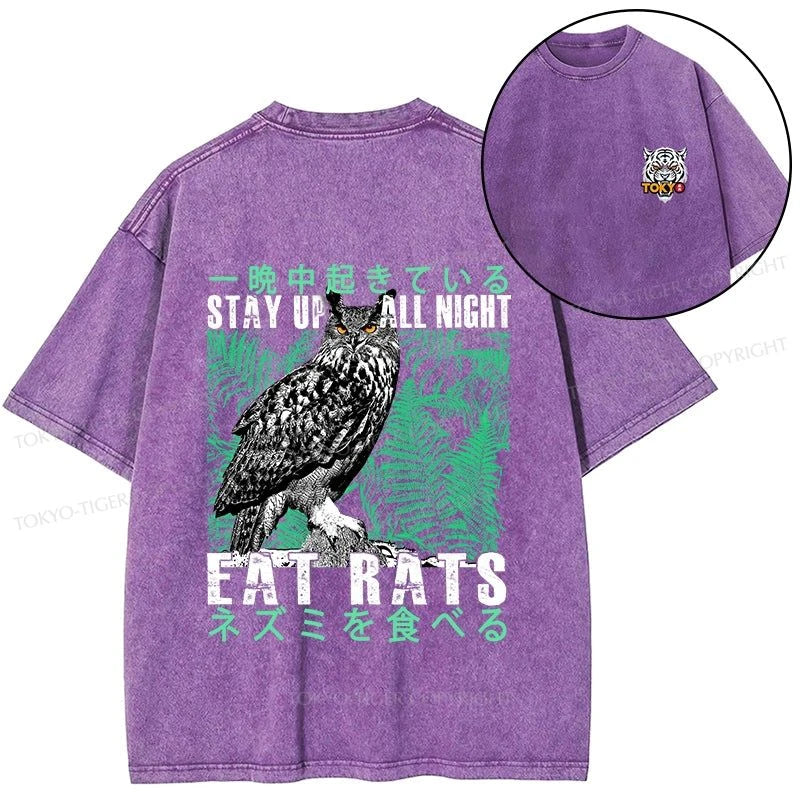 Tokyo-Tiger Owls Prey On Rats At Night Front Back Washed T-Shirt