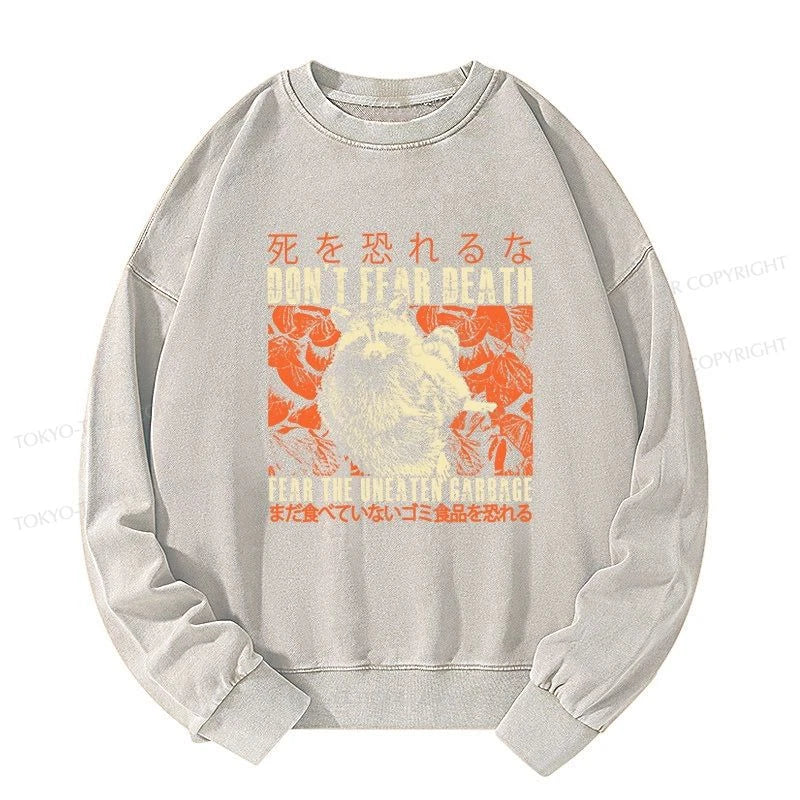 Tokyo-Tiger Timid Raccoon Japanese Washed Sweatshirt