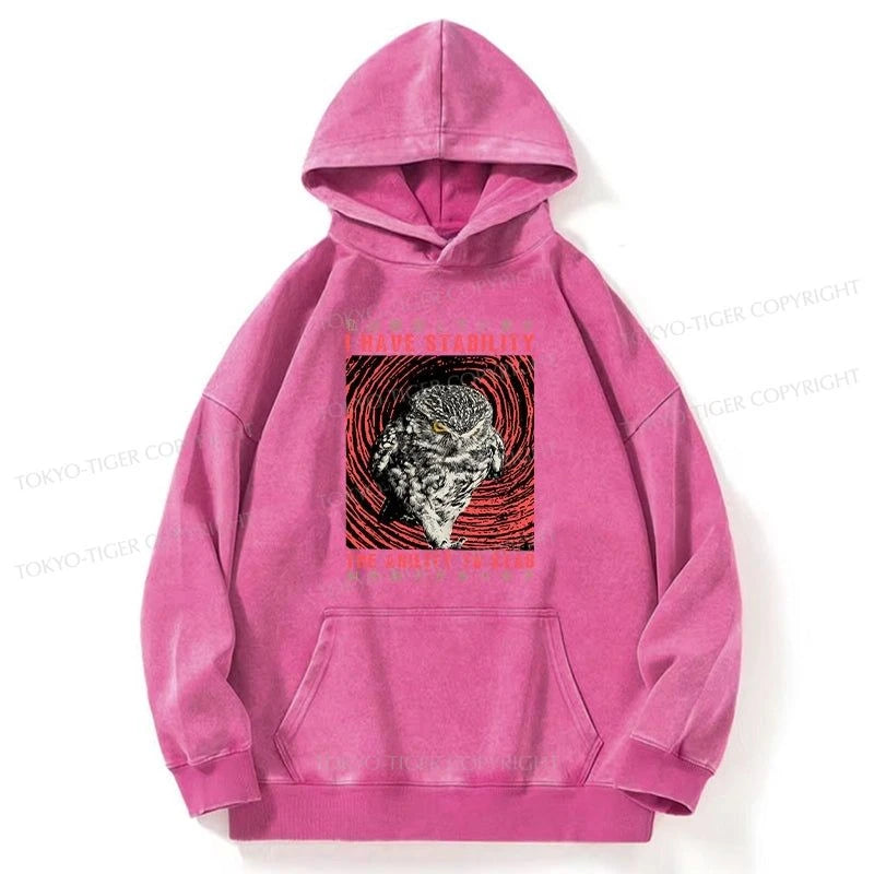 Tokyo-Tiger I Have Stability Owl Washed Hoodie