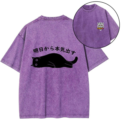 Tokyo-Tiger I'm Going To Get Serious Tomorrow Front Back Washed T-Shirt