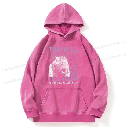 Tokyo-Tiger First Of All I'm A Delight Washed Hoodie