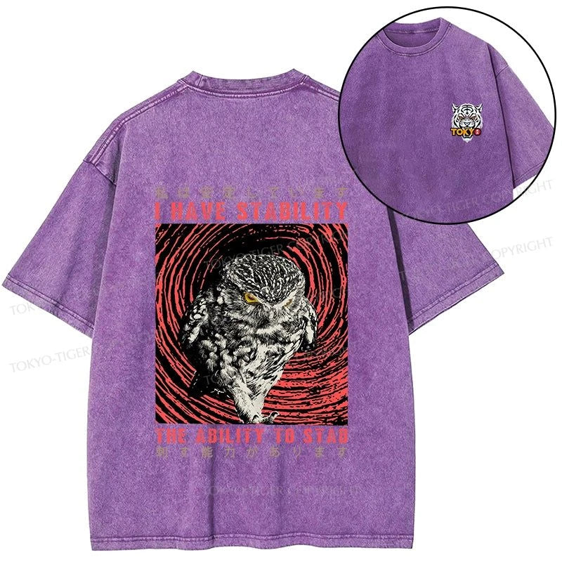 Tokyo-Tiger I Have Stability Owl Front Back Washed T-Shirt