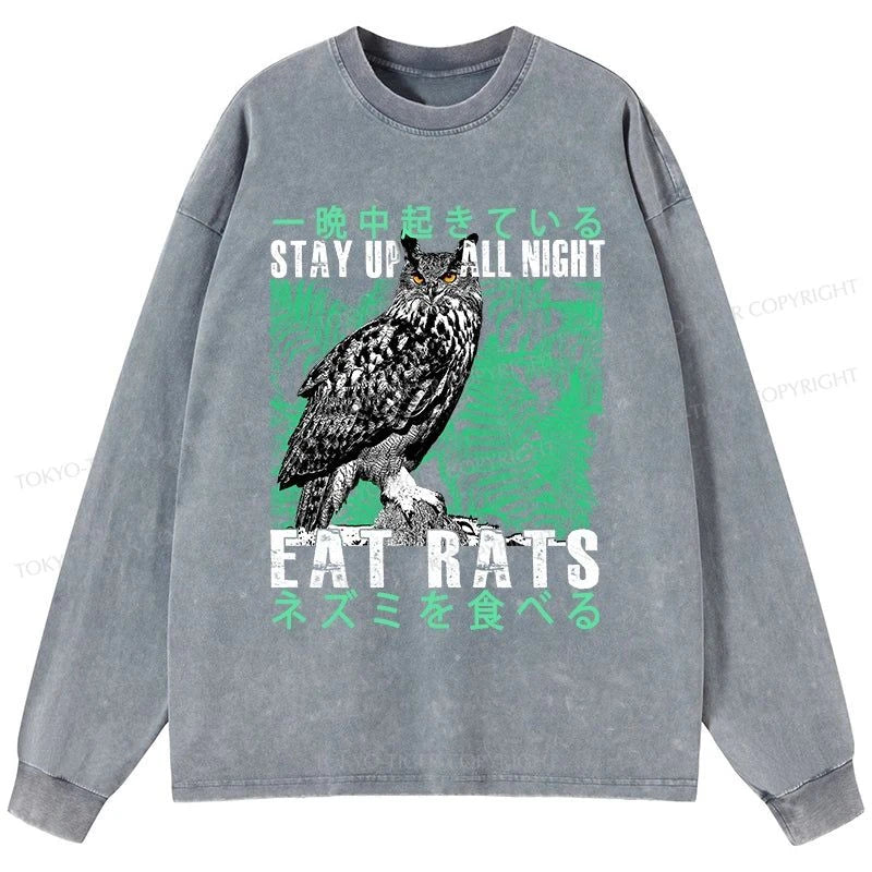 Tokyo-Tiger Owls Prey On Rats At Night Washed Long Sleeve T-Shirt