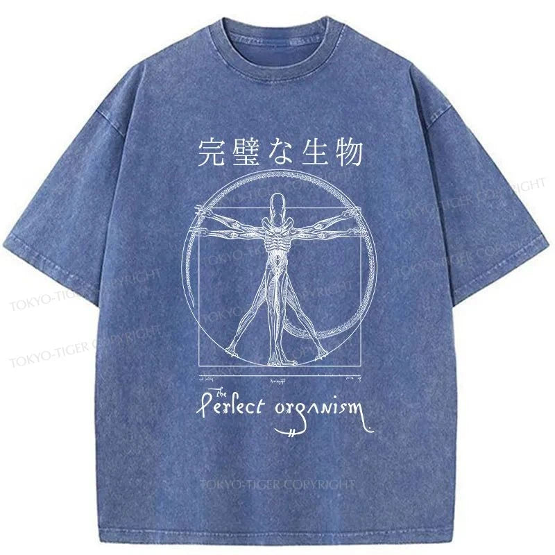 Tokyo-Tiger Perfect Organism Japanese Washed T-Shirt