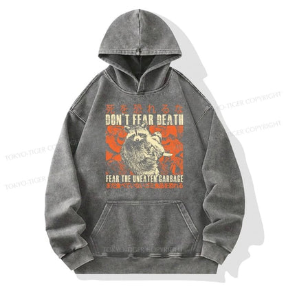 Tokyo-Tiger Timid Raccoon Japanese Washed Hoodie