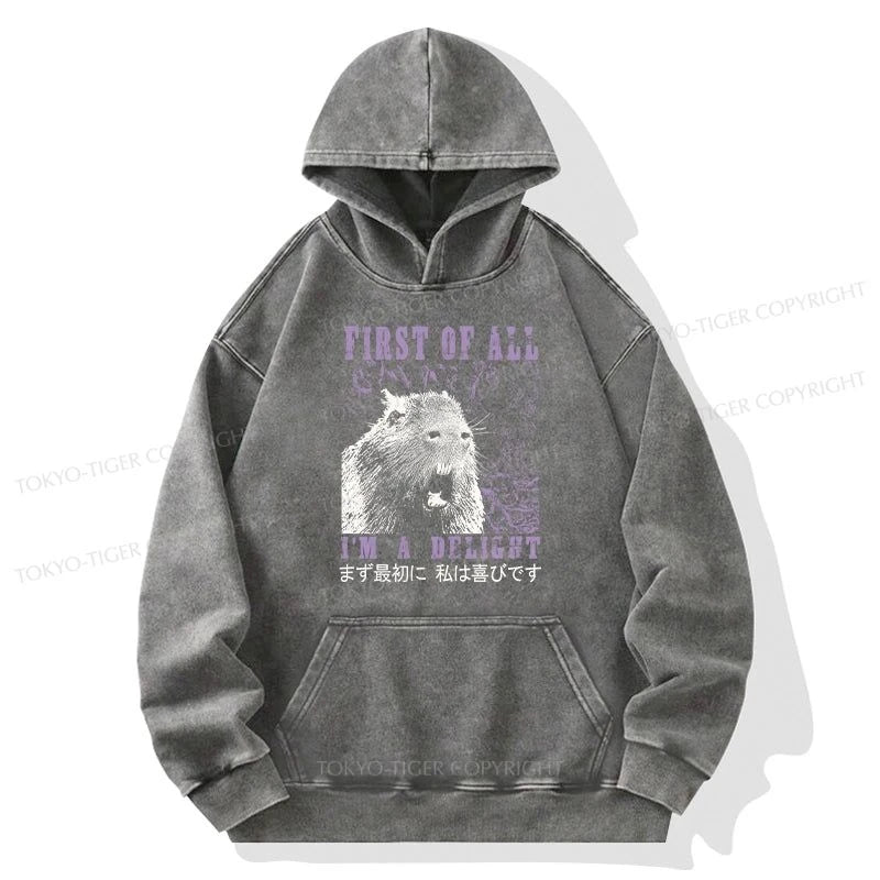 Tokyo-Tiger First Of All I'm A Delight Washed Hoodie