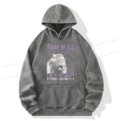 Tokyo-Tiger First Of All I'm A Delight Washed Hoodie