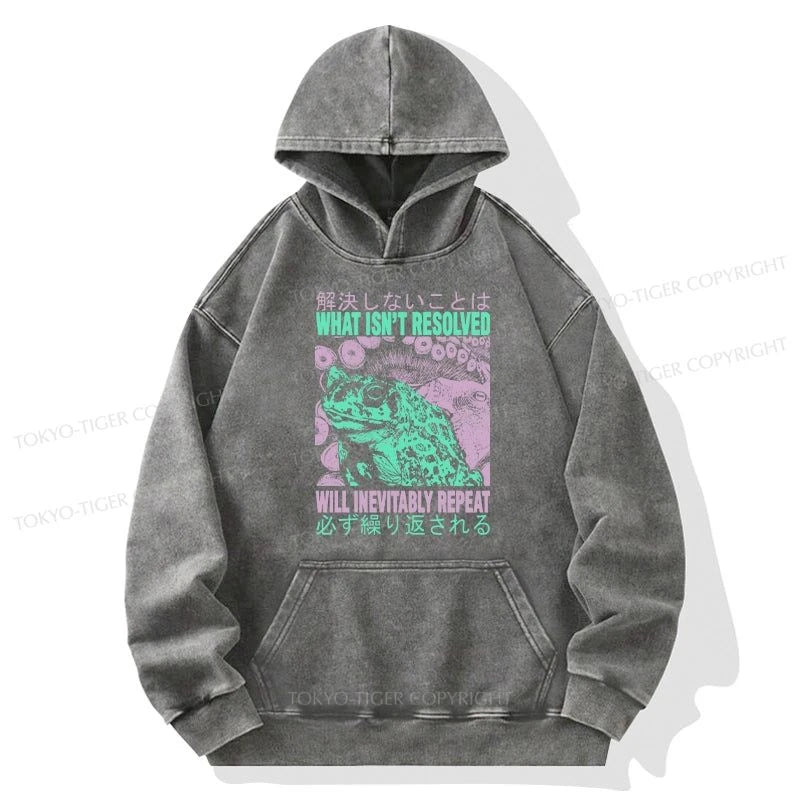 Tokyo-Tiger What Ist Resolved Forg Washed Hoodie