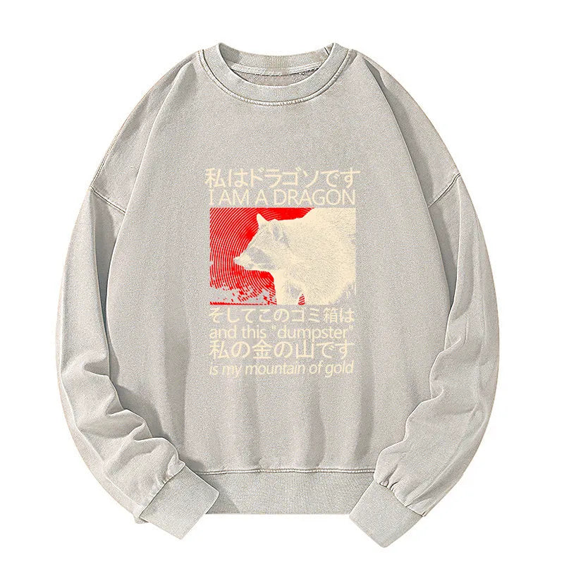 Tokyo-Tiger Dragon Raccoon Japanese Washed Sweatshirt