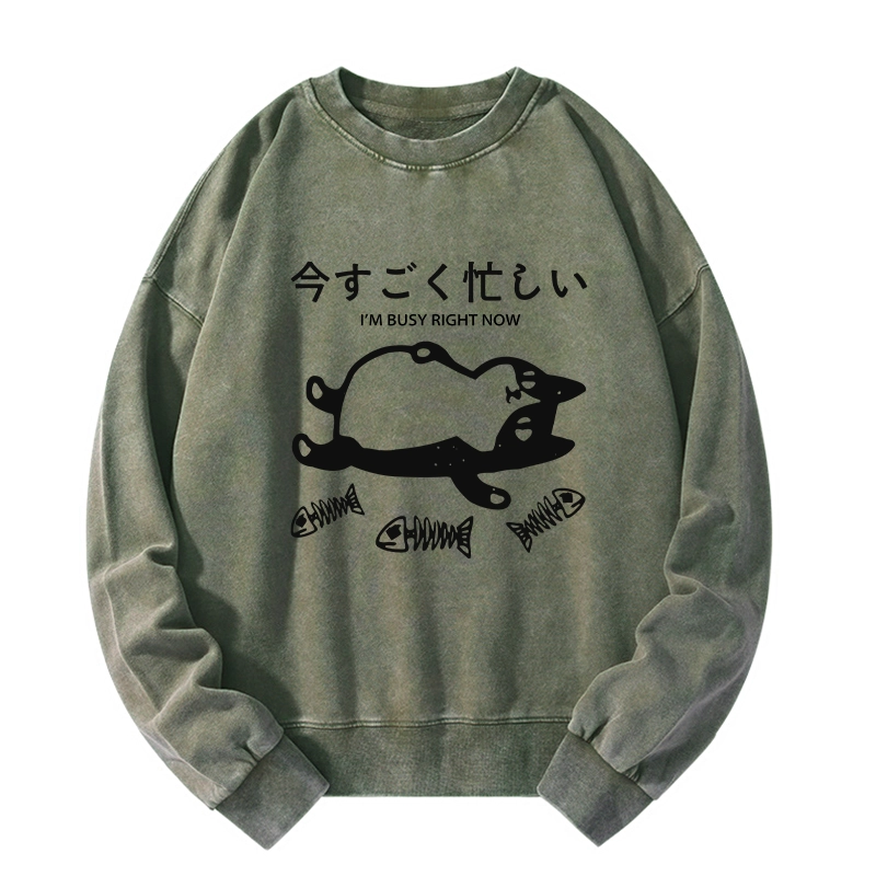 Tokyo-Tiger I'm Busy Right Now Washed Sweatshirt