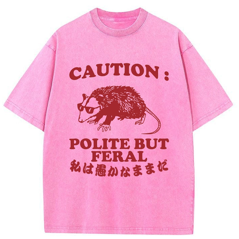 Tokyo-Tiger Polite But Feral Possum Washed T-Shirt