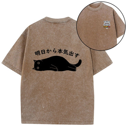 Tokyo-Tiger I'm Going To Get Serious Tomorrow Front Back Washed T-Shirt