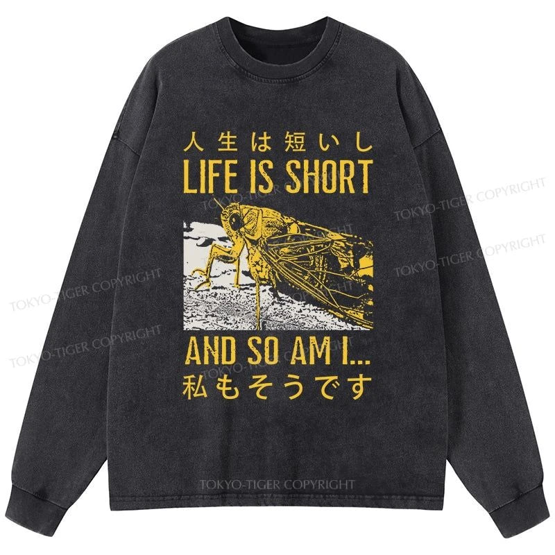 Tokyo-Tiger A Grasshopper With A Short Life Washed Long Sleeve T-Shirt