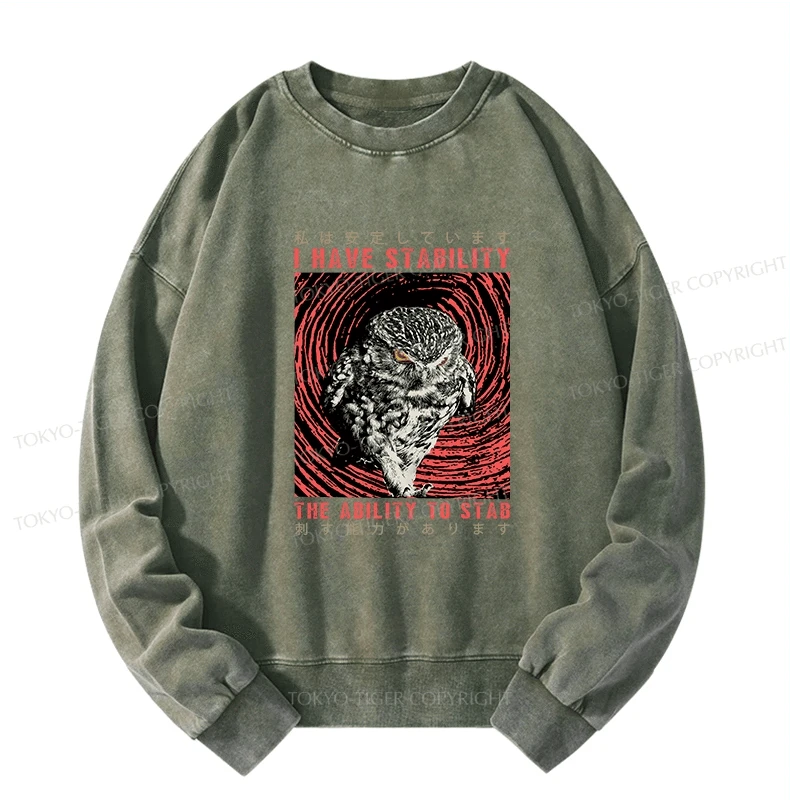 Tokyo-Tiger I Have Stability Owl Washed Sweatshirt