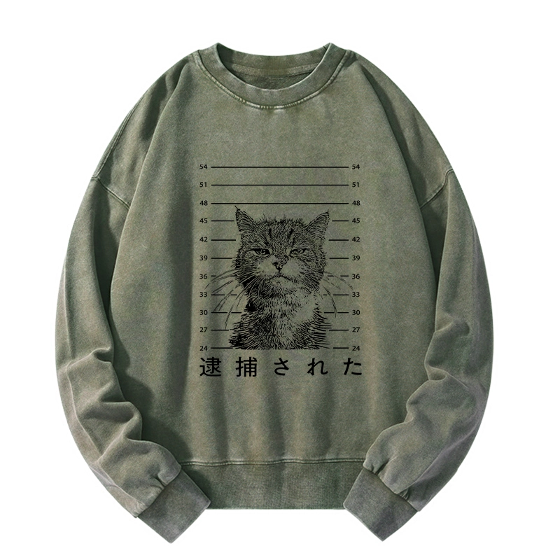 Tokyo-Tiger Cat That Was Arrested Washed Sweatshirt