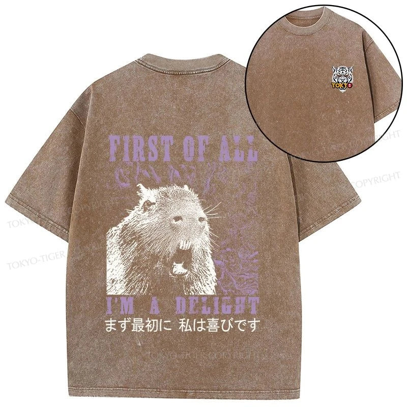 Tokyo-Tiger First Of All I'm A Delight Front Back Washed T-Shirt