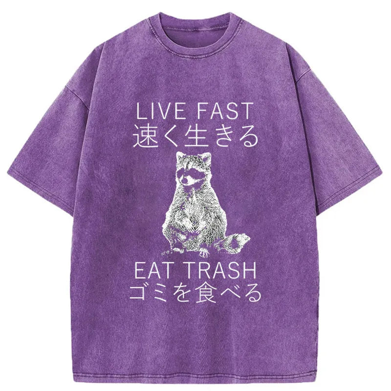 Tokyo-Tiger Live Fast Eat Trash Japan Washed T-Shirt