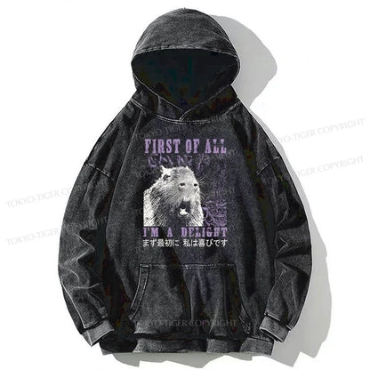 Tokyo-Tiger First Of All I'm A Delight Washed Hoodie