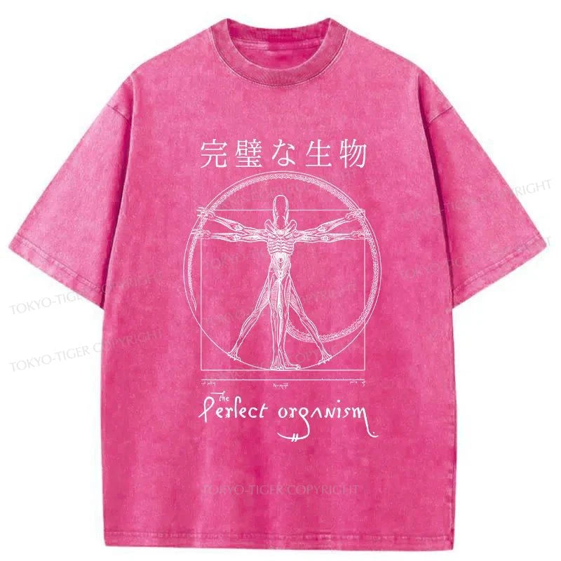 Tokyo-Tiger Perfect Organism Japanese Washed T-Shirt