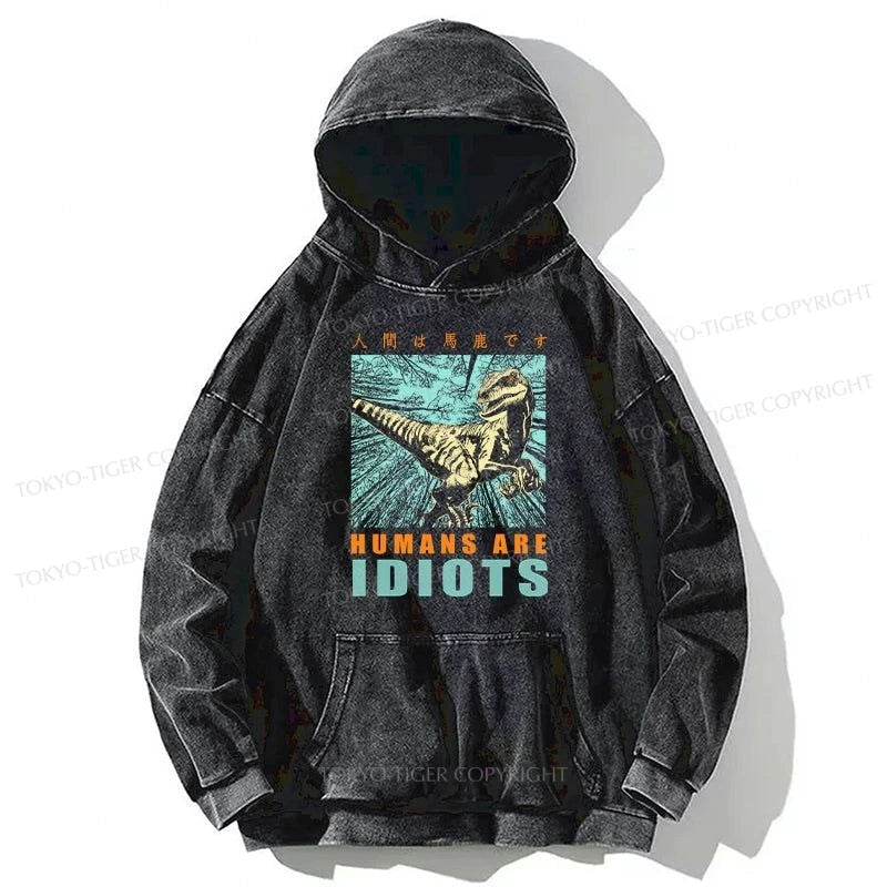 Tokyo-Tiger Mocking Dinosaurs Japanese Washed Hoodie