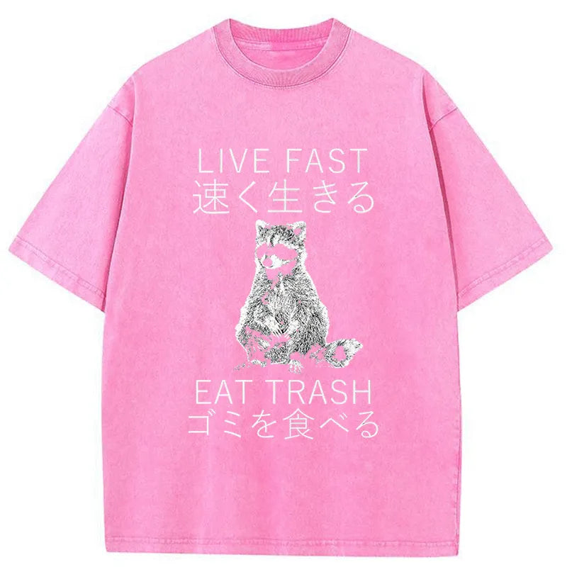 Tokyo-Tiger Live Fast Eat Trash Japan Washed T-Shirt