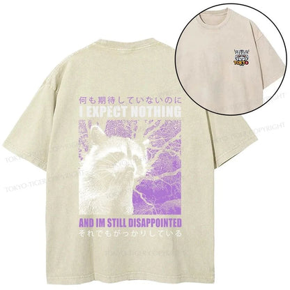 Tokyo-Tiger Disappointed Raccoon Japanese Front Back Washed T-Shirt