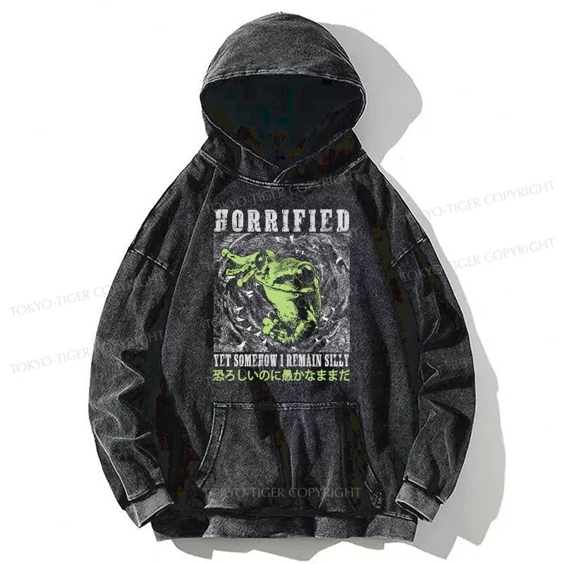 Tokyo-Tiger Silly Frog Japanese Washed Hoodie