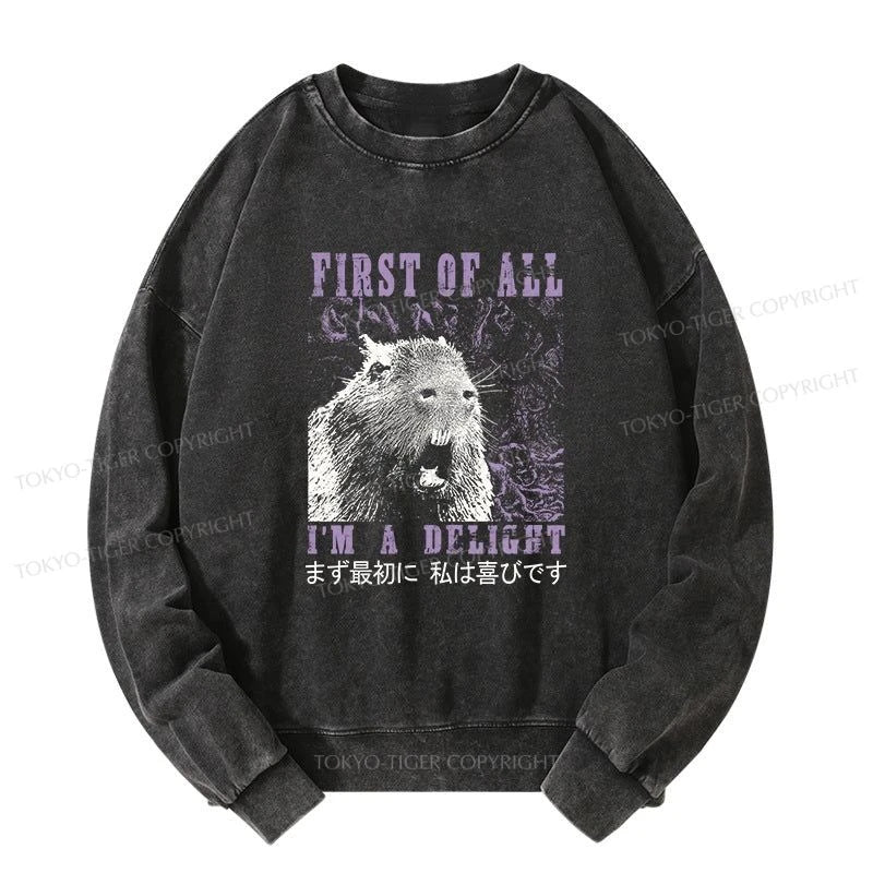 Tokyo-Tiger First Of All I'm A Delight Washed Sweatshirt