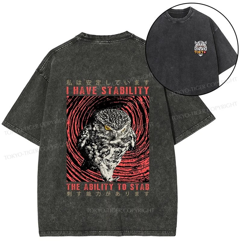 Tokyo-Tiger I Have Stability Owl Front Back Washed T-Shirt