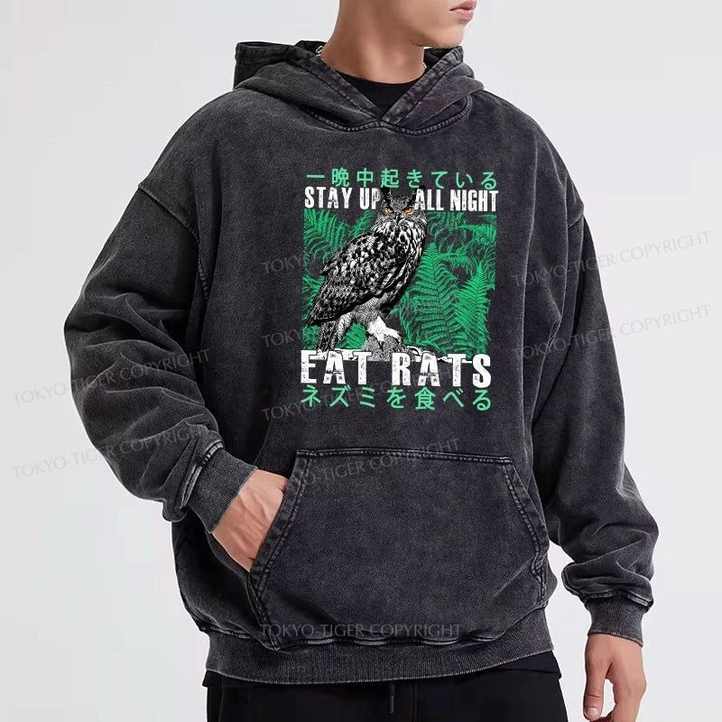 Tokyo-Tiger Owls Prey On Rats At Night Washed Hoodie