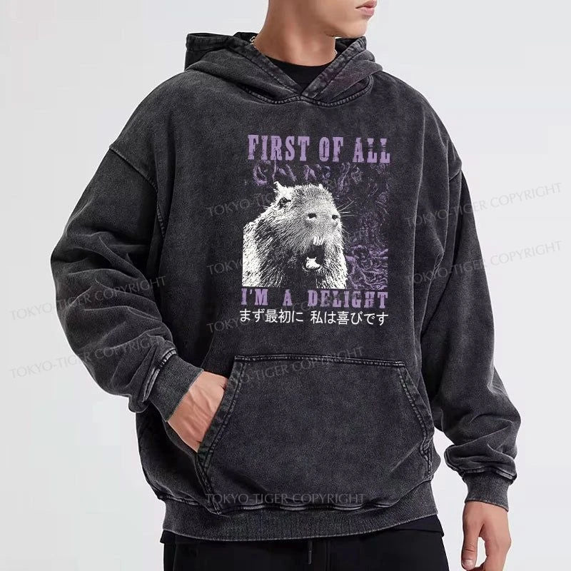 Tokyo-Tiger First Of All I'm A Delight Washed Hoodie