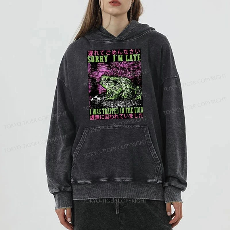 Tokyo-Tiger Frogs Trapped In The Void Washed Hoodie